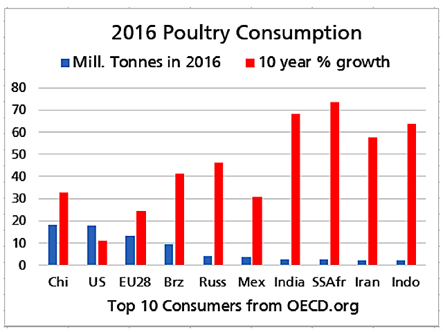 Among the top 10 consumers of poultry in the world, the chart above shows the strongest demand growth coming from Sub-Saharan Africa and India as rising living standards allow more people to enjoy this affordable protein. The ramifications are bullish for grain demand as more feed will be needed (Source: OECD Meat Consumption data).  