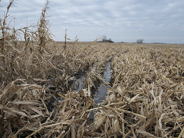 Mud, ruts and compaction could make for messy seedbeds this spring -- just one of many challenges facing farmers after a wet fall and late harvest. (DTN file photo by Susanne Stahl)
