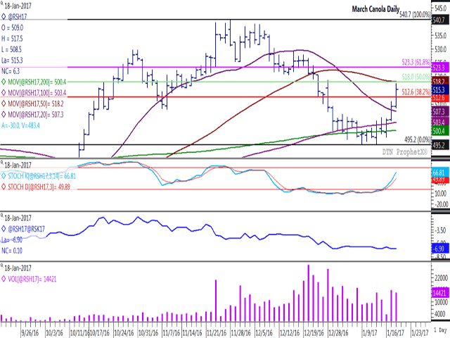 March canola flashed a bullish outside-day trading bar on Jan. 12, while has gained $15.20/metric ton so far this week. Resistance on the daily chart is found at $518/mt, the 50% retracement of the move from the November high to the January low, along with the 50-day moving average at $518.30/mt. The second study points to momentum indicators pointing higher and the potential for the move to be extended, while the third study is the March/May spread which points to a neutral response by commercial traders. (DTN graphic by Nick Scalise)
