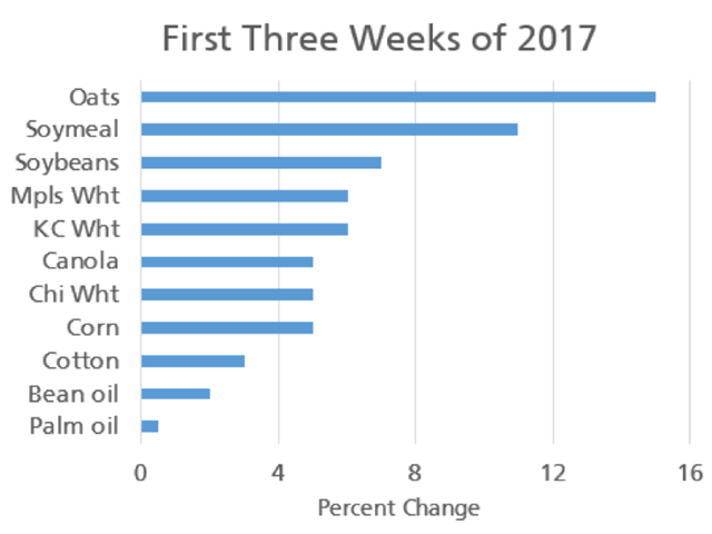 The first three weeks of 2017 have seen grain prices jump to a higher start, led by the endangered grain, oats. Palm oil, the best performer on this list in 2016 is slow out of the gate with many anticipating higher production in 2017 (Source: DTN ProphetX).