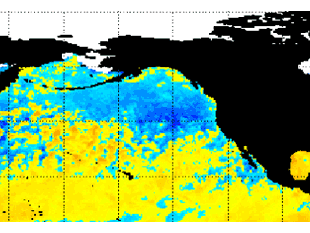 A large pool of anomalously cool water that developed over the northern Pacific Ocean has stayed around since fall 2016. (NOAA/NESDIS graphic)