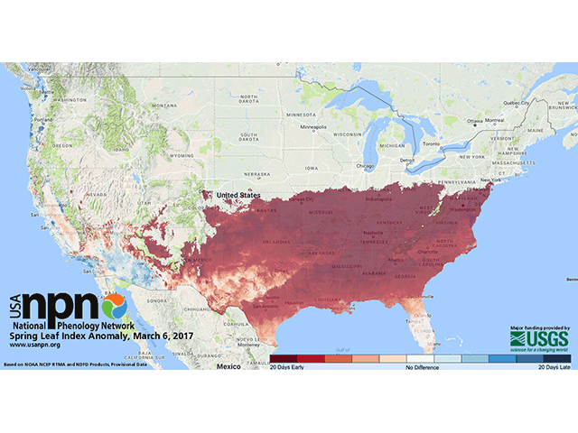National Phenology Network information shows that leaf growth is running a good 20 days or more ahead of normal as far north as central Illinois, Indiana and Ohio. (NPN graphic by Nick Scalise)