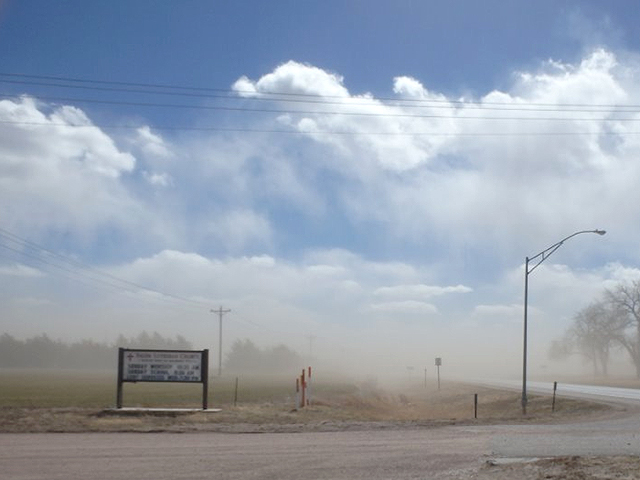 Dryness, heat and strong winds leave wheat fields camouflaged by blowing dust. (Photo courtesy of Leon Kriesel)