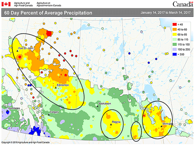 Only northern Alberta has an extensive area of below-normal precipitation since the first of the year 2017. (AAFC graphic by Nick Scalise)