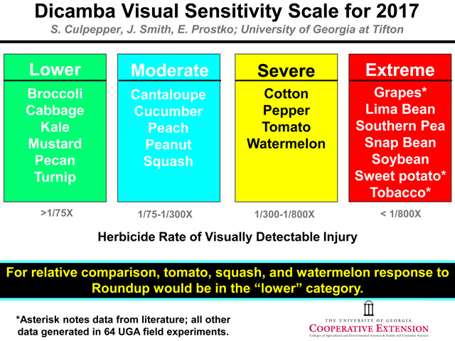 Don&#039;t apply newly labeled dicamba herbicides near sensitive crops like the ones listed above. (Photo courtesy of Stanley Culpepper, UGA Cooperative)