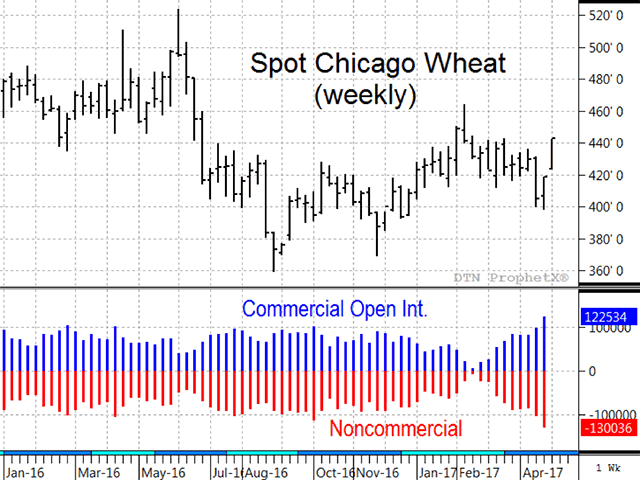 Friday&#039;s CFTC data showed noncommercial traders net short 130,036 contracts of Chicago wheat, the largest bearish bet on record. Previous big bets by noncommercials have not gone well (Source: DTN ProphetX).