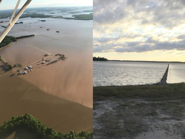 Arkansas farmers were devastated by recent flooding, and the University of Arkansas System Division of Agriculture released a preliminary estimate of 64.5 million in losses to farmers. That estimate was just for the costs of seed and herbicides already applied, equipment and labor. (Photo on the left taken by Andy Jett, Success, Arkansas, over his flooded farm; photo on the right of the Cache River flooding taken by Joe Christian, Jonesboro, Arkansas)