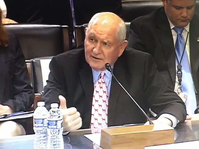 Ag Secretary Sonny Perdue testified Wednesday on an array of issues before the House Agriculture Committee. One issue that came up repeatedly was whether USDA can create a program to help cotton farmers. (DTN photo) 