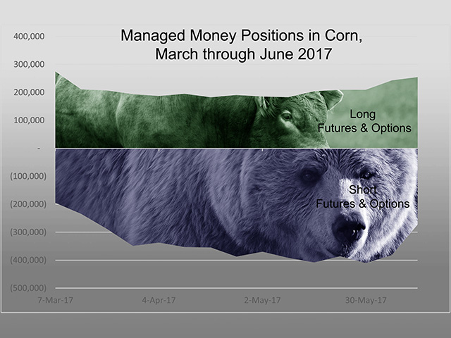 In the week from June 6 to June 13, 2017, speculators dumped more than 100,000 short futures and options positions in the corn market, yet they still have a net bearish outlook for prices. (DTN illustration by Elaine Kub)