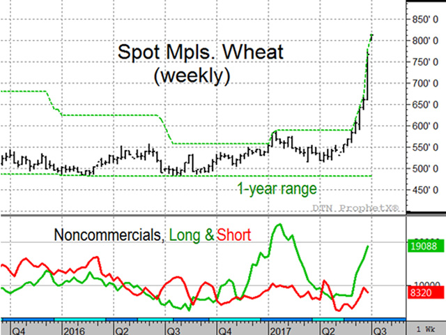 The chart of spot Minneapolis wheat futures above shows that prices have risen rapidly to their highest level in nearly four years, fueled by concerns of drought in the U.S. The trend is clearly bullish, but it can also mask a growing instability (Source: DTN ProphetX).