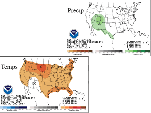 NOAA forecast maps for August feature generally above normal temperatures and only climatological "equal chances" on precipitation for the major U.S. crop areas. (NOAA graphic by Nick Scalise) 