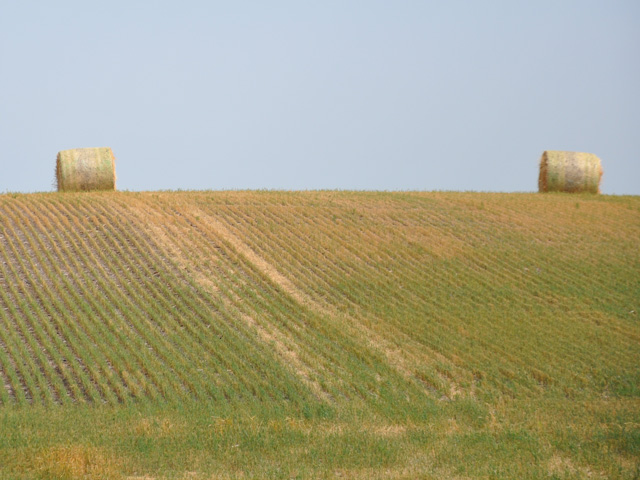 Scouts on the western routes of the tour&#039;s first day saw plenty of baled wheat fields, like this one in South Dakota, thanks to extreme drought conditions in the western Dakotas. (DTN photo by Chris Clayton)
