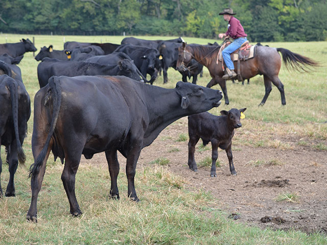 Knowledge is the key to avoid being taken in by individuals posing as legitimate buyers. (DTN/Progressive Farmer photo by Dan Miller)