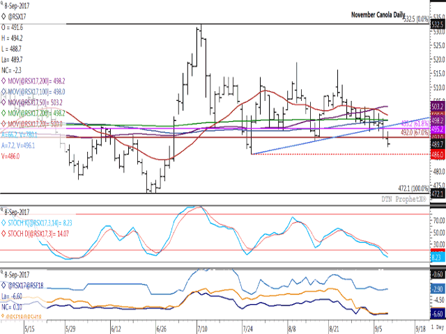 November canola lost $2.30/metric ton on Friday and $7.60/mt over the week, consistent with the crop's seasonal trend. Price moved below support this week, while nearing a test of the July 26 low of $486/mt (red dotted line). The middle study shows stochastic momentum indicators in oversold territory, which may slow technical selling. The lower study shows spreads close to unchanged over the week as commercial traders take a cautious approach to trade. (DTN graphic by Nick Scalise)