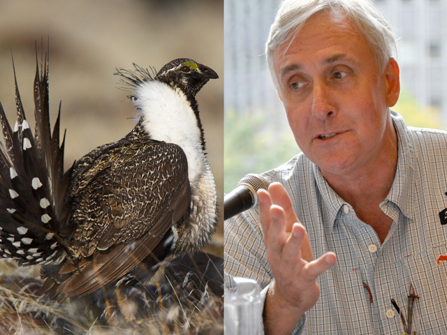 Whit Fosburgh, president and CEO of the Theodore Roosevelt Conservation Partnership, criticized a Department of Interior decision to reopen the conservation agreement on the greater sage grouse, a bird that was close to getting an Endangered Species Act listing just a few years ago. (Greater sage grouse photo by USFWS Pacific Southwest Region; Fosburgh photo by Chris Clayton)