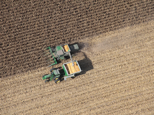 A new analysis finds crop acreage is more sensitive to crop prices than to local ethanol production. (Photo by Elaine Shein) 