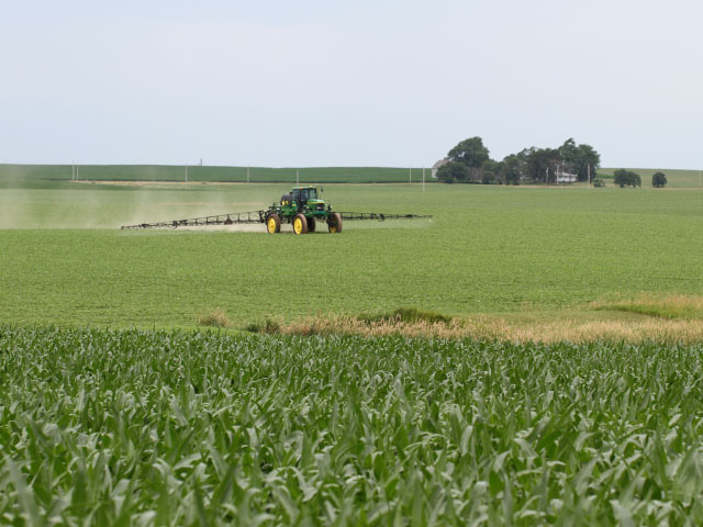 The new EPA rules on spraying dicamba in Xtend soybeans don&#039;t necessarily apply to applications of dicamba in corn. But it&#039;s important to check state rules before making that determination. (DTN photo by Pamela Smith)