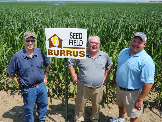 This is how Tom Burrus (center) approached life -- gung ho and smiling -- even in the face of drought, which was evident in their seed fields in 2012 when this photo was taken. His brother Todd, and son-in-law, Tim Greene are standing alongside. (DTN photo by Pam Smith)