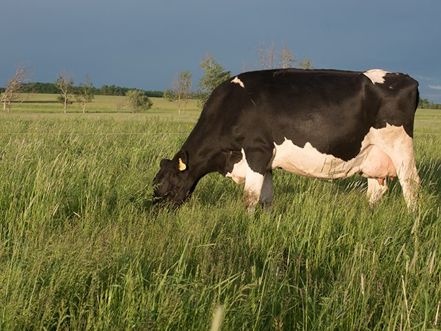 Citing antibiotic resistance as one of the biggest threats to global health, food security and development, the World Health Organization recommends more limits in its use for food-producing animals. (DTN/Progressive Farmer photo by Rick Mooney)