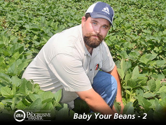 Lofty goals keep soybean grower Zack Rendel, Miami, Oklahoma, pushing. Soybeans are where he knows he needs to up his game yield-wise. (DTN/The Progressive Farmer photo by Dan Crummett)