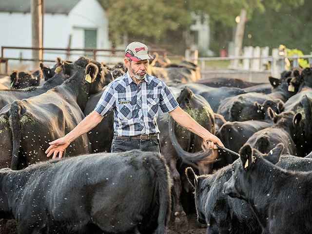 Ted Lacey says small changes can be the key to improved profits for producers. (DTN/Progressive Farmer image by Greg Latza)