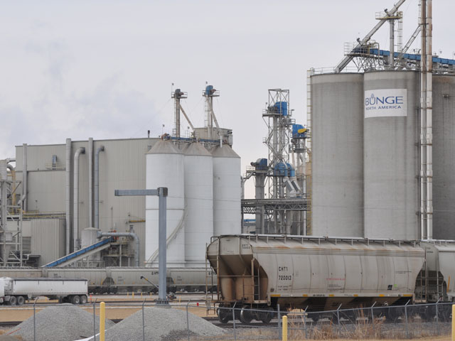 Bunge Ltd. announced lower-than-expected earnings on Wednesday due largely to some hedging losses that Bunge expects will turn around in the second half of the year. (DTN file photo) 