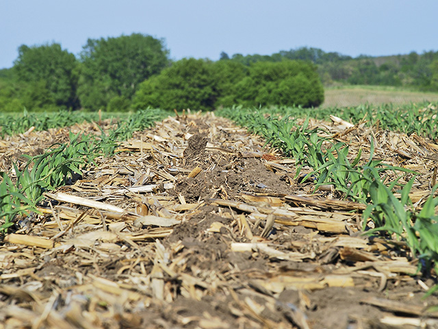 Creating high organic matter with crop residue is the most profitable way to manage your root/soil/nutrient zone. (DTN/Progressive Farmer photo by Susan Winsor)