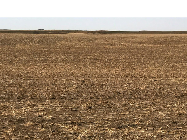 Less than one-tenth of an inch precipitation since Oct. 1, 2017, has winter wheat fields in the Oklahoma Panhandle looking barren. (Courtesy photo by Monica Mattox, Oklahoma Assistant State Climatologist)