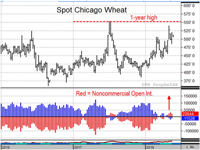 USDA expects U.S. wheat supplies to stay plentiful in 2018-19, and international competition has been rough on U.S. exports. Nevertheless, this year&#039;s rally in Chicago wheat persists. (DTN ProphetX Chart)