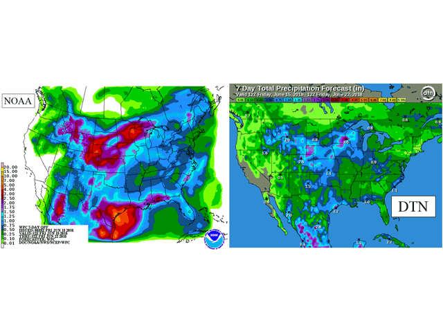 DTN's seven-day total precipitation forecast shows much lighter amounts are expected than the NOAA quantitative precipitation forecast chart. (DTN graphic)