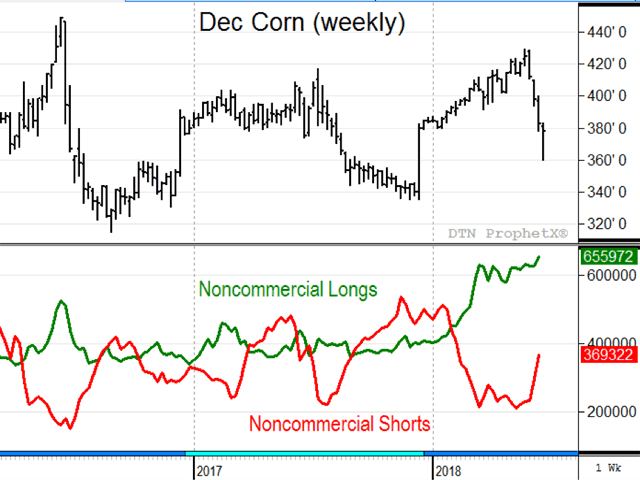 Noncommercial traders usually exhibit trend-following behavior, but this summer is different. Noncommercial longs are holding their largest position on record and don&#039;t seem to care that prices have dropped nearly 47 cents in a month. (DTN ProphetX chart)