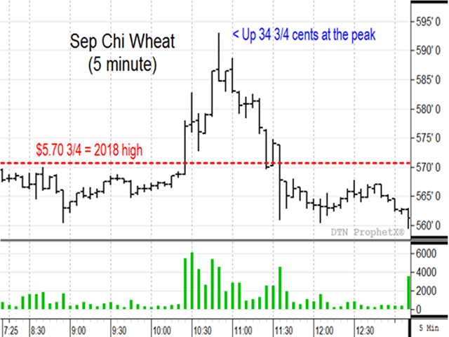 Thursday looked like another bullish day for Chicago wheat, especially after new 2018 highs triggered heavy buying volume. The sudden rally did not last long however, related to comments from Ukraine, which were apparently misunderstood (DTN ProphetX chart). 
