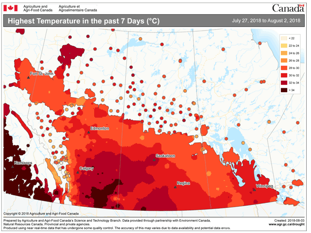 Western Prairies temperatures reached above 34 Celsius (97 Fahrenheit) during the first week in August. Readings topping 38C (100F) are likely to finish out the week. (AAFC graphic)