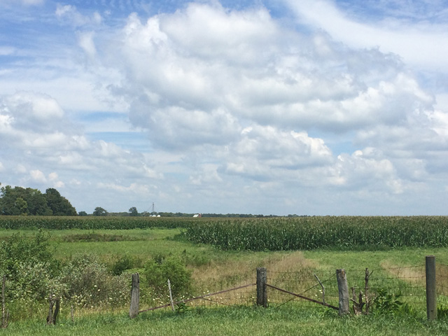 Our agricultural fences in need of repair and can we do it together? (DTN photo by Pamela Smith) 