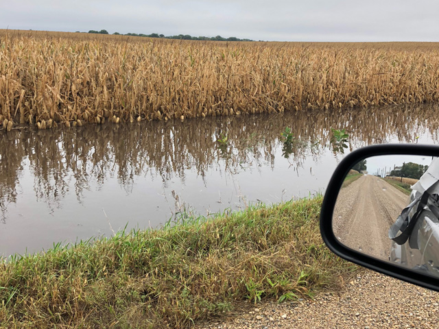 Kossuth County, Iowa, is part of the extensive Upper Midwest area that will have extensive harvest delays after heavy rain and high winds Sept. 18-20. (Photo courtesy of Tim Kohlhaas)