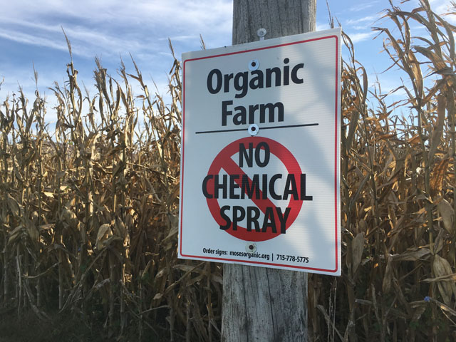 Farmers increased plantings of organic corn in 2018, a 2% increase over 2017, according to a new study by Mercaris, a firm that specialized in data transparency for the identity-preserved grain industry. (DTN Photo by Pam Smith)