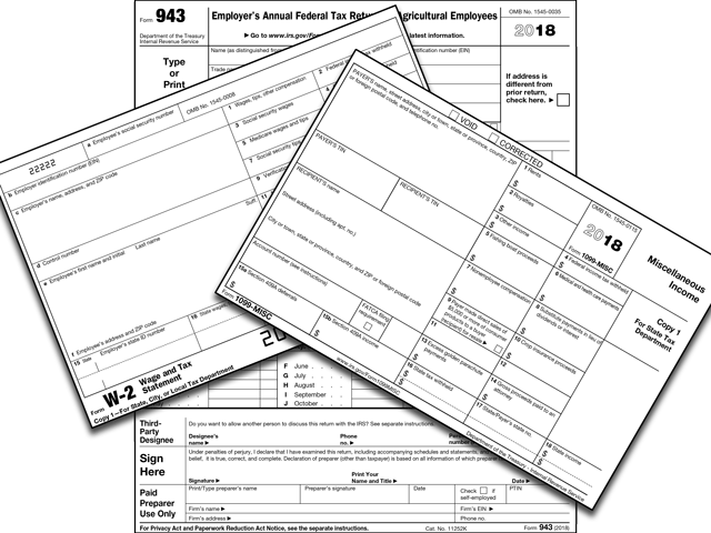 Employers use different tax forms to pay different types of workers. A 1099 is used for independent contractors, while a 943/W-2 is used for employees. (DTN photo illustration by Nick Scalise)
