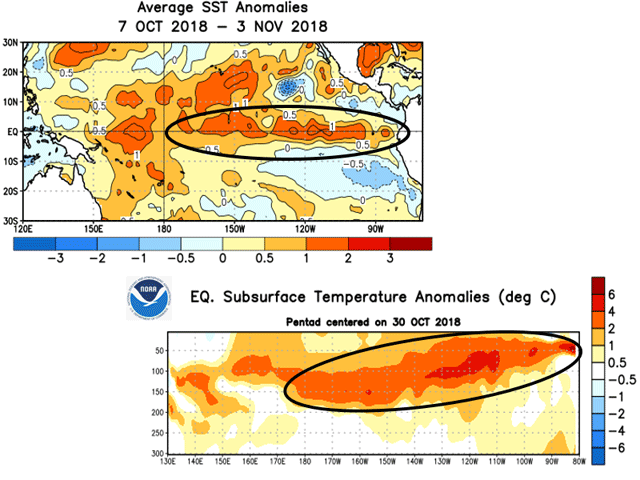 Both the Pacific Ocean sea surface temperatures (upper) and subsurface temperatures (lower) are warming, indicating the likely development of El Nino. (NOAA graphic)