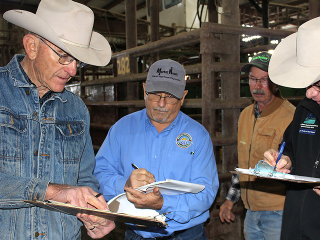 Cattle in the Missouri Steer Feedout go through an extensive grading protocol with (from left) Eldon Cole, livestock specialist with University of Missouri Extension, Dan Hill, Missouri Department of Agriculture and Jodie Pitcock, USDA. Gerald Eggerman, a producer from South Greenfield, participates in the program. (Photo by Linda Geist)