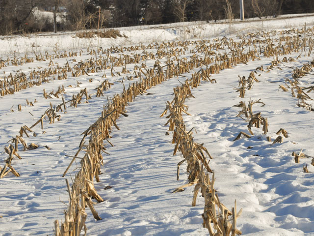 Winter is upon us, but some farmers have a few fields left to harvest before they can tackle the paperwork and farm upkeep that come in the winter months. (DTN photo by Russ Quinn)