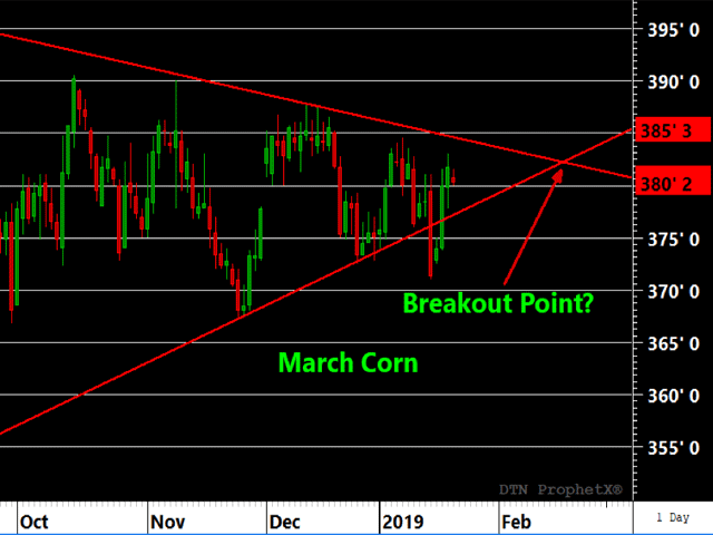 March corn continues to respect trendline support and resistance dating back to late summer. The price action has produced a contracting triangle with a an intersection point in mid-February. (DTN ProphetX Chart)