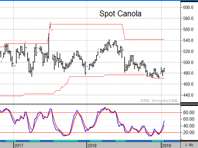 After not showing much follow-through on new one-year lows in late 2018, the momentum of spot canola prices has now turned higher and coincides with bullish changes in soybean oil and palm oil prices. (DTN ProphetX chart)
