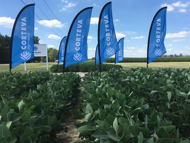 Enlist E3 soybeans are still waiting on import approval from the Philippines, and growers should expect only introductory volumes to be available if that approval comes before 2019 planting. (DTN photo by Pamela Smith)