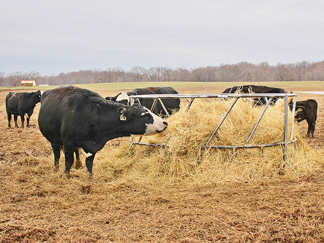 Taking the time to dispose of twine and bale wrap is a good habit to get into. (Progressive Farmer photo by Becky Mills)