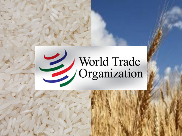 U.S. wheat farmers, along with rice producers, won a World Trade Organization ruling Thursday against China. It was a major victory in the WTO, but the Trump administration has been blocking the appointment of WTO appellate judges, which could gridlock the system, and this case, unless the case is resolved in trade talks. (Logo courtesy of the WTO) 