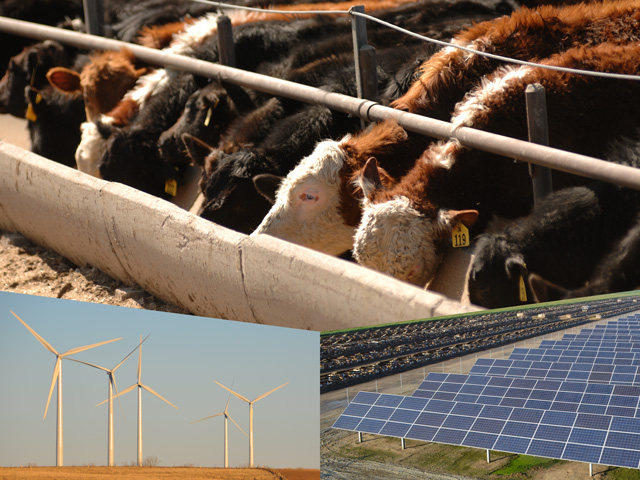 Rural America has its fill of cattle, wind turbines and solar panels, but language in the Democratic proposal the "Green New Deal" makes it seem like rural America and agriculture are bigger causes of climate change than solutions to the problem. The Green New Deal is creating a backlash in rural America. (DTN photo illustration by Nick Scalise) 