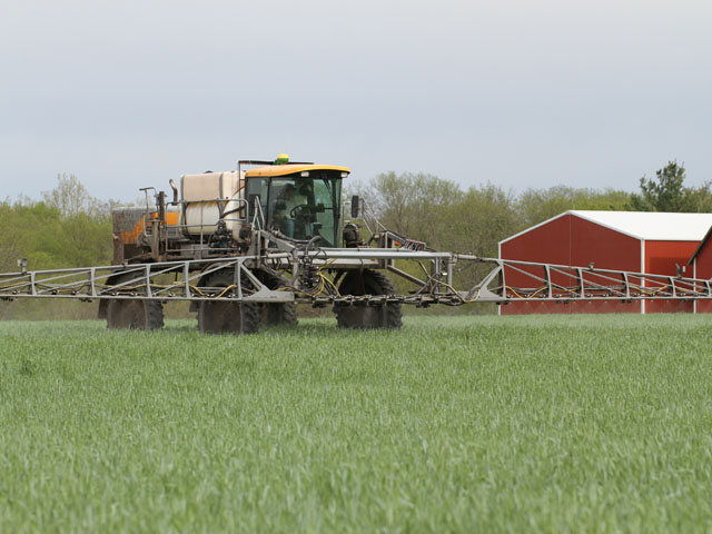 Termination is only one step in the process of integrating cover crops into a management system. (DTN photo by Pamela Smith)