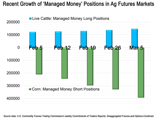 During the month leading up to March 5, the "managed money" futures traders accumulated an additional 182,042 short futures and options positions in the corn market. (Chart data from CFTC)