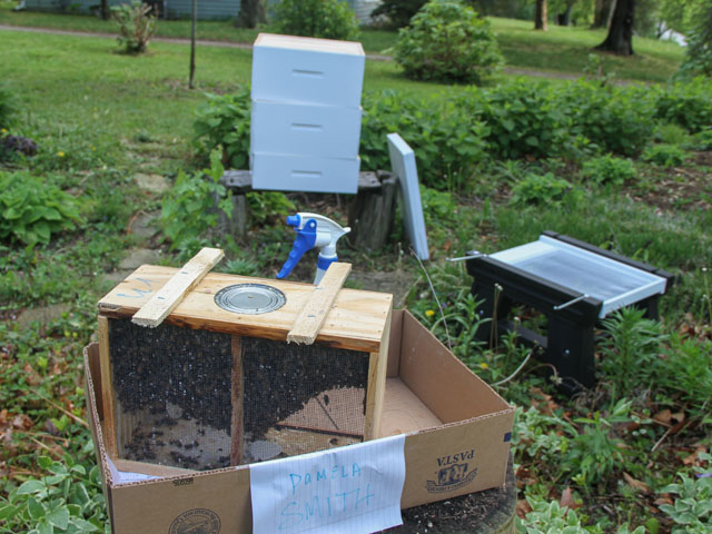This package contains 3 pounds of honeybees and one mated queen to start one a colony. (DTN photo by Pamela Smith)