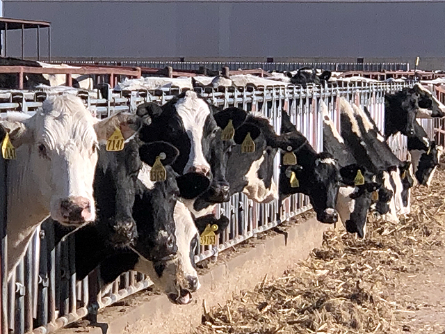 Dairy farmers are now able to enroll for Dairy Margin Coverage for the 2020 calendar year. DMC enrollment runs through Dec. 13 and farmers are required to go into a local USDA Service Center to sign up and pay the administrative fee. (DTN file photo by Chris Clayton)